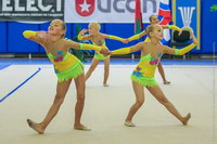 © ВФЭГ (RFAG)