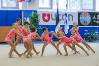 © ВФЭГ (RFAG)