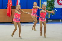 © ВФЭГ (RFAG)
