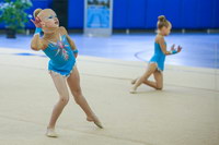 © ВФЭГ (RFAG)