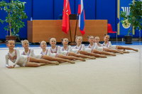 © ВФЭГ (RFAG)