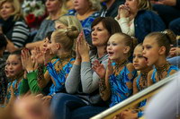 © ВФЭГ (RFAG)