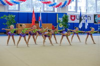 © ВФЭГ (RFAG)