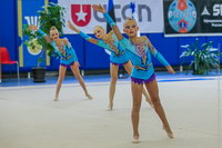 © ВФЭГ (RFAG)