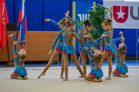 © ВФЭГ (RFAG)