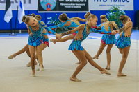 © ВФЭГ (RFAG)