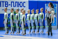 © ВФЭГ (RFAG)