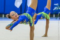 © ВФЭГ (RFAG)
