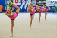 © ВФЭГ (RFAG)