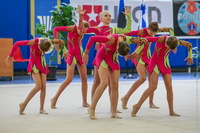 © ВФЭГ (RFAG)