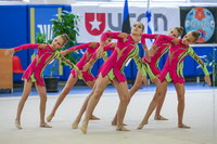 © ВФЭГ (RFAG)