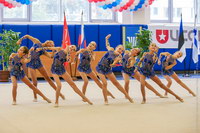 © ВФЭГ (RFAG)