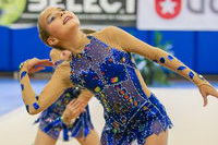 © ВФЭГ (RFAG)