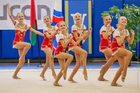 © ВФЭГ (RFAG)