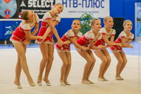 © ВФЭГ (RFAG)