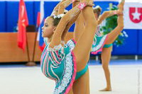 © ВФЭГ (RFAG)
