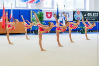 © ВФЭГ (RFAG)