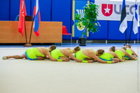 © ВФЭГ (RFAG)