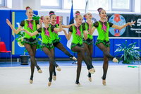 © ВФЭГ (RFAG)