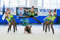 © ВФЭГ (RFAG)