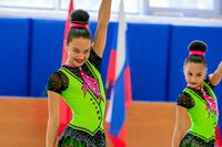 © ВФЭГ (RFAG)