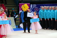 © ВФЭГ (RFAG)
