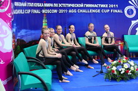 © ВФЭГ (RFAG)