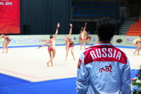 © ВФЭГ (RFAG)