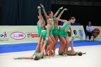 © ВФЭГ (RFAG)