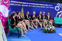 © ВФЭГ (RFAG)
