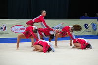 © ВФЭГ (RFAG)