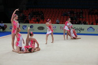 © ВФЭГ (RFAG)