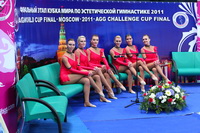 © ВФЭГ (RFAG)