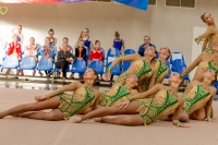 © ВФЭГ (RFAG)