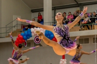 © ВФЭГ (RFAG)