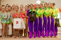 © ВФЭГ (RFAG)