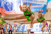 © ВФЭГ (RFAG)