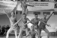 © ВФЭГ (RFAG)