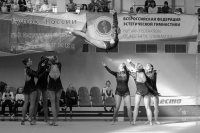 © ВФЭГ (RFAG)