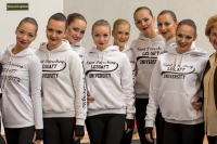 © ВФЭГ (RFAG)