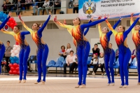 © ВФЭГ (RFAG)