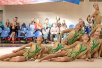 © ВФЭГ (RFAG)