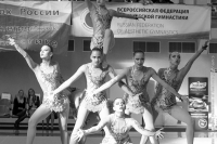 © ВФЭГ (RFAG)