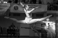 © ВФЭГ (RFAG)