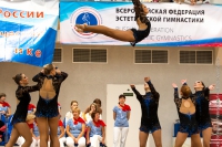 © ВФЭГ (RFAG)