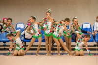 © ВФЭГ (RFAG)