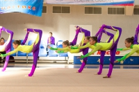 © ВФЭГ (RFAG)