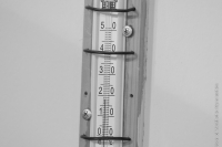 © ВФЭГ (RFAG)