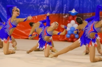 © ВФЭГ (RFAG)