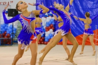 © ВФЭГ (RFAG)